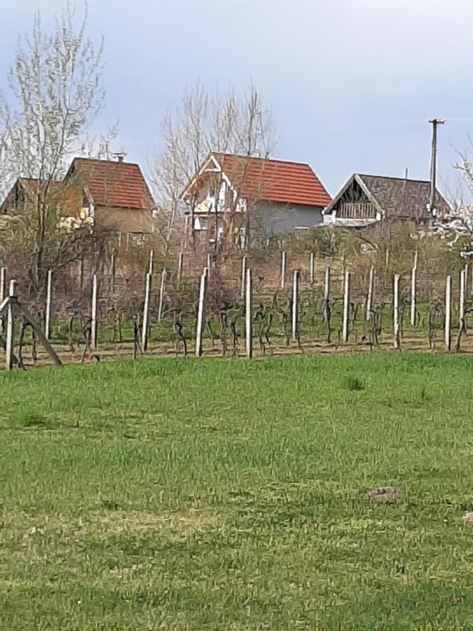 Grapeline Guesthouse Chotin Exteriör bild