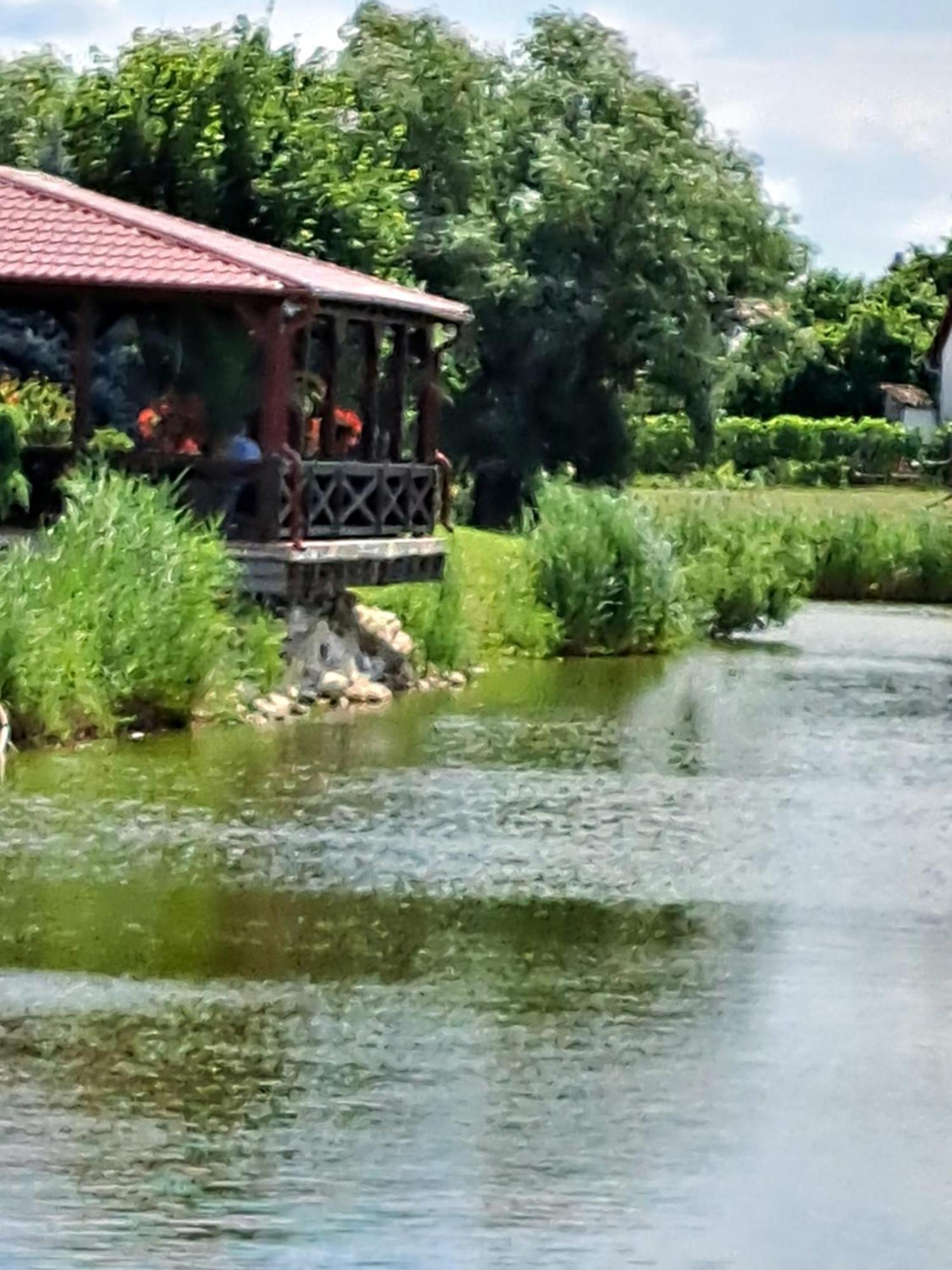 Grapeline Guesthouse Chotin Exteriör bild